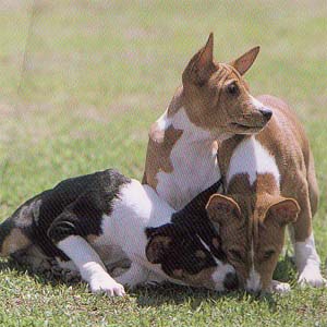 �o�Z���W�[