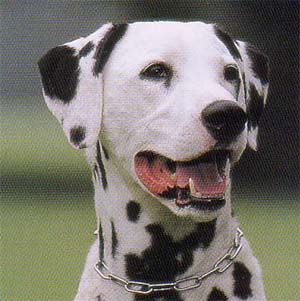 �_�����V�A��