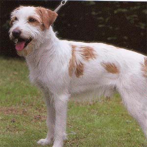 �N�����t�H�[�������_�[