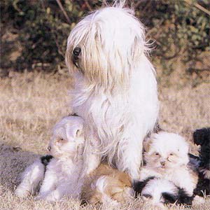 �`�x�^���e���A