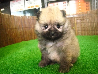 �� �|�����j�A��