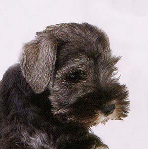 �~�j�`���A�V���i�E�U�[