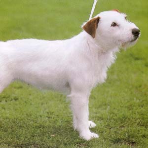 �p�[�\�����b�Z���e���A