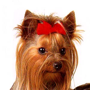 ���[�N�V���[�e���A